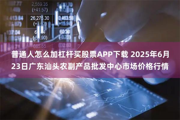 普通人怎么加杠杆买股票APP下载 2025年6月23日广东汕头农副产品批发中心市场价格行情