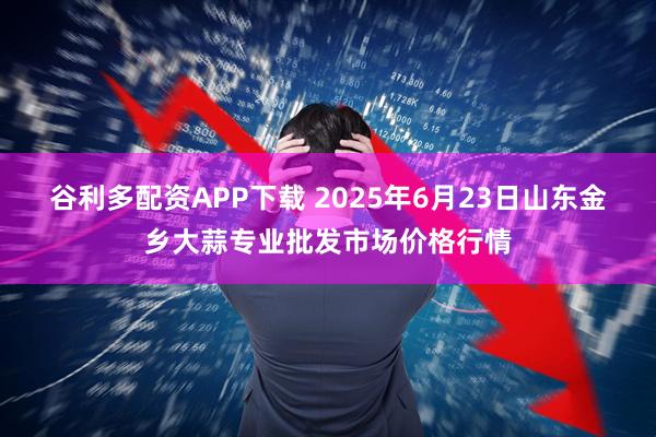 谷利多配资APP下载 2025年6月23日山东金乡大蒜专业批发市场价格行情