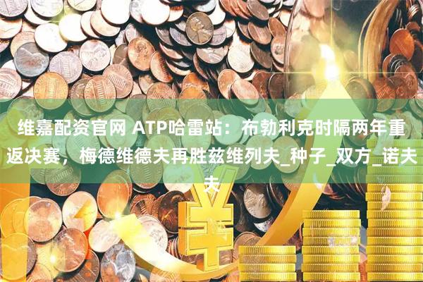 维嘉配资官网 ATP哈雷站：布勃利克时隔两年重返决赛，梅德维德夫再胜兹维列夫_种子_双方_诺夫