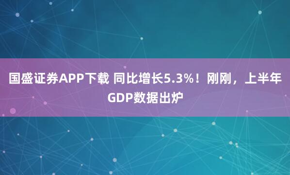 国盛证券APP下载 同比增长5.3%！刚刚，上半年GDP数据出炉