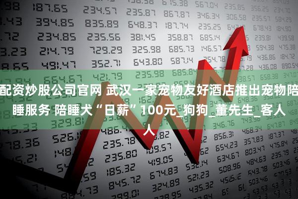配资炒股公司官网 武汉一家宠物友好酒店推出宠物陪睡服务 陪睡犬“日薪”100元_狗狗_董先生_客人