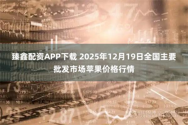 臻鑫配资APP下载 2025年12月19日全国主要批发市场苹果价格行情